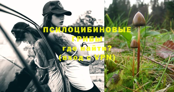 a pvp Абдулино