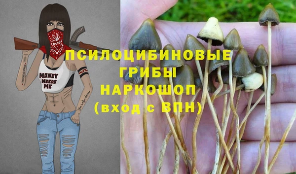 марки nbome Абаза