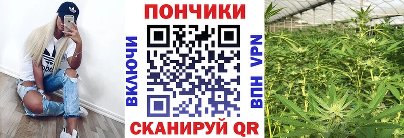 Бошки Шишки марихуана  Подпорожье 